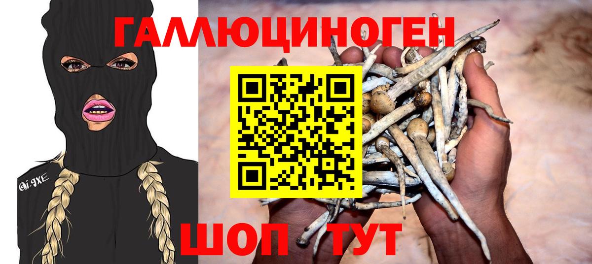 Котельники  Галлюциногенные грибы Magic Shrooms  Вход с VPN 